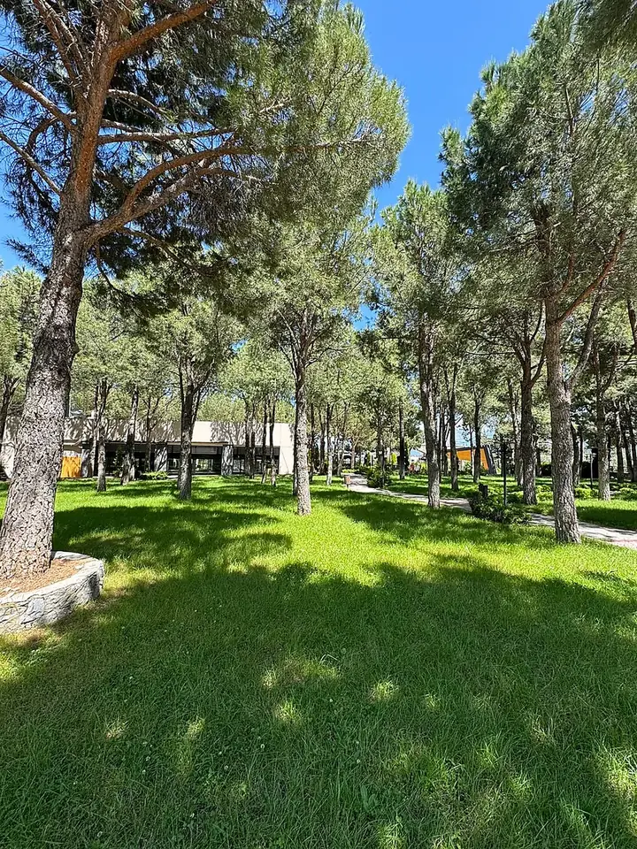 Kırçiçeği Kafe bahçe alanı