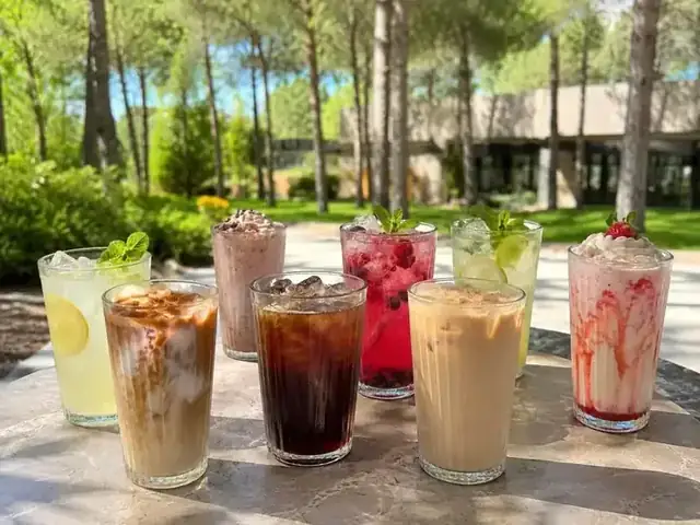 Soğuk İçecekler, Milkshake & Frozen