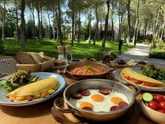 Yumurta & Omlet Çeşitleri